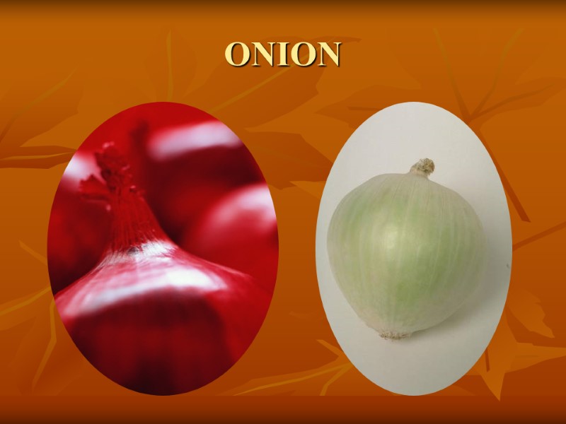 ONION